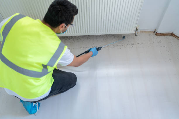 Best Fumigation Services  in Big Rapids, MI